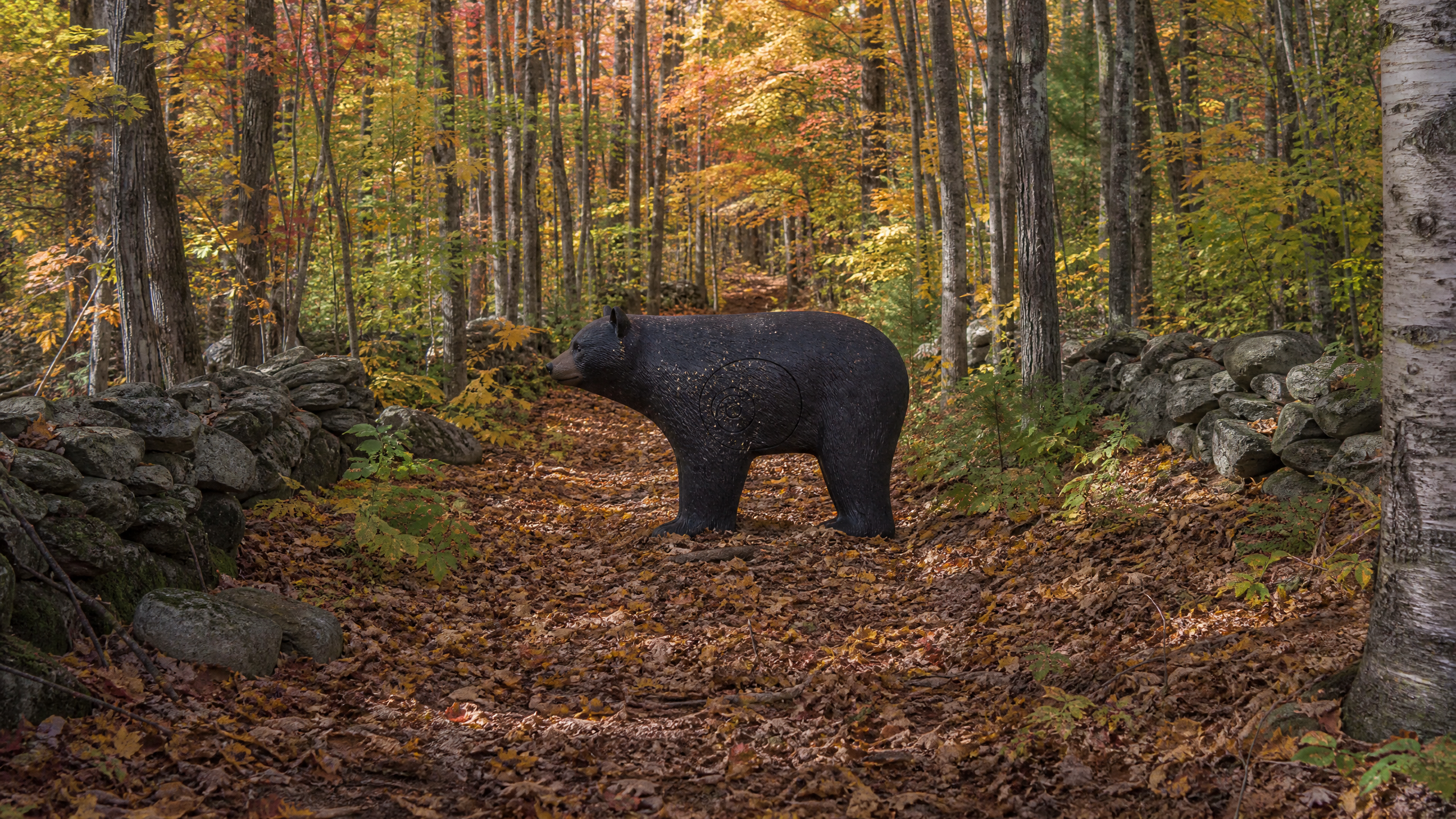 Illustration of a 3D archery course with foam animal targets set among New England forest terrain